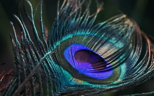 Arjuna On The Battlefield - Bhagavad Gita Mirror Meditation