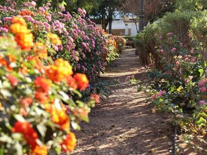 Armon.izar.te. 500, 400, 310 y 10 HZ. Vibración Propia.