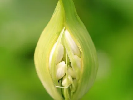 Arrive | Breath Awareness & Expansion | 19 Mins