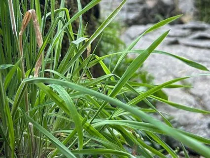 Arrive: Creating Concentration And Focus