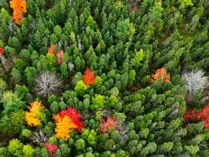 Arrive Here & Now Using Your Five Senses