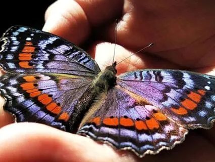 Arrive In The Present Moment