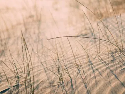 Arrive - Spoken Word