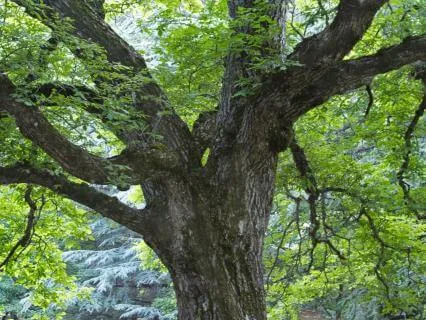 Arriving And Grounding In Your Body