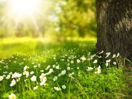 Arriving At Sleep- A Gentle Sleep Meditation