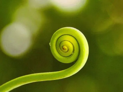 Arriving Home In This Body