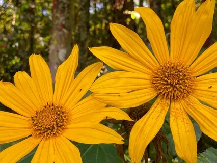 Arriving In The Body