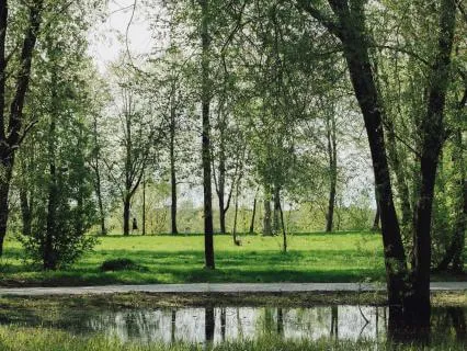 Arriving In The Present