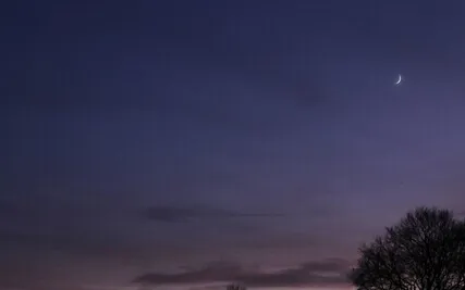 Arriving into Recovery and Restoration