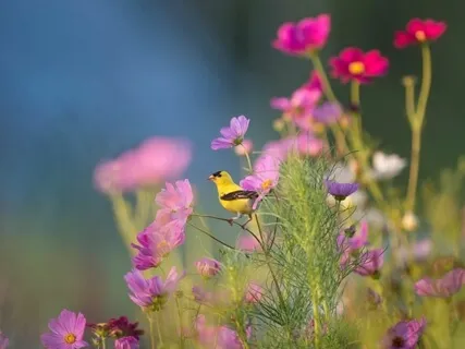 Arriving Into The Morning