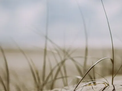 Arriving Into The Present Moment