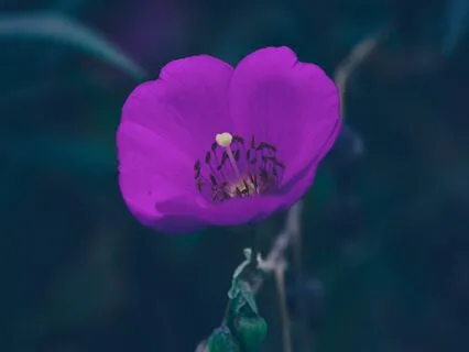 Arriving Into Your Body