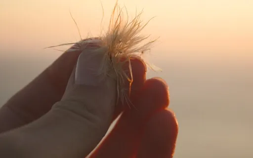 Arriving To The Present Moment