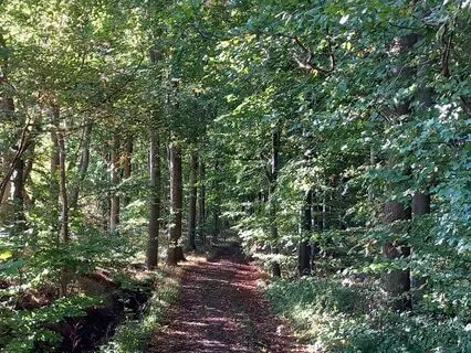 Årshjulet 0: På Vandring Gennem Årstiderne