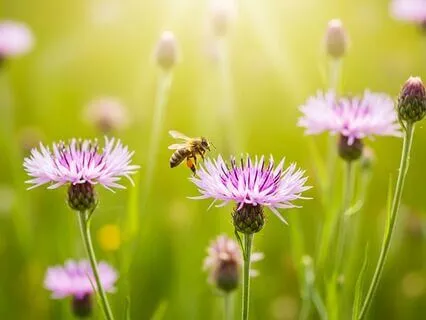 Art Of Making Time By Flirting With Possibility