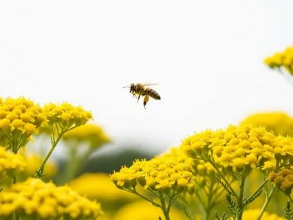 Art Of Making Time By Ripples Of Joy
