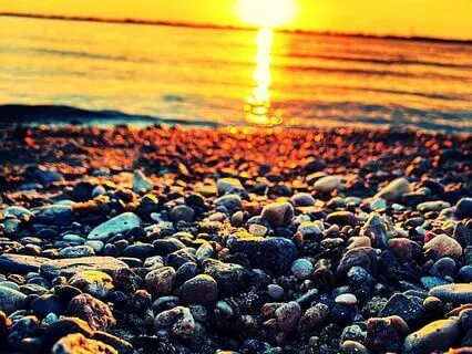 Art Of Presence: Settle