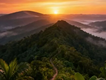 Art Of The Hang Up - Anxiety And Worry