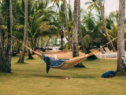 Artificial Intelligence III