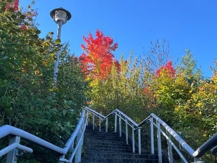 Aru365 Connecting The Dots, One Dot At A Time