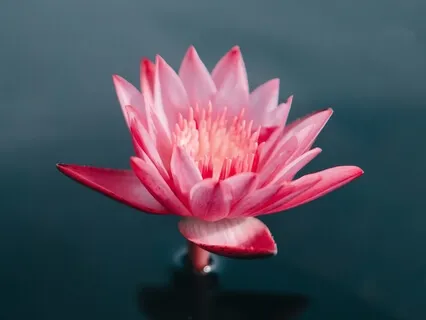 Arunachala Shiva (by Radha)