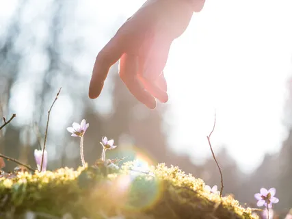 As Above So Below: Universal Connection