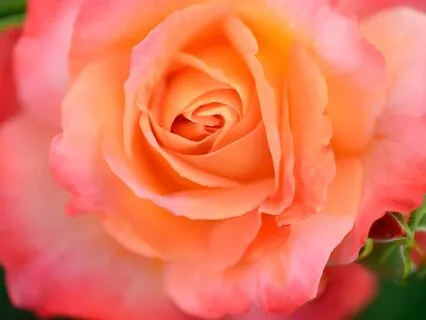 As I Began To Love Myself