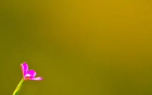 As Our Life Is Our Mirror - What Is It Showing Us?