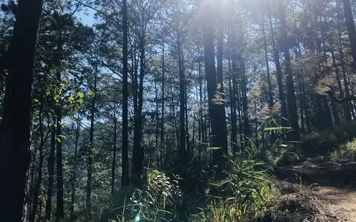 As-salamu alaykum ٱلسَّلَامُ عَلَيْكُمْ May Peace Be Upon U