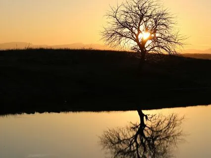 As The Sky Does In Water | Rumi Poem