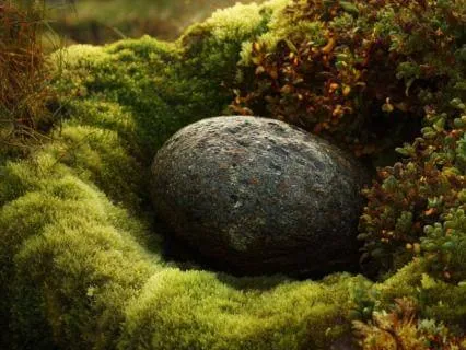 As You Are: Rest For Neurodivergent Burnout