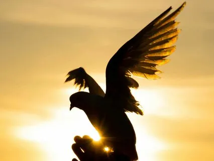 Asatoma Sadgamaya Meditation For Inner Peace