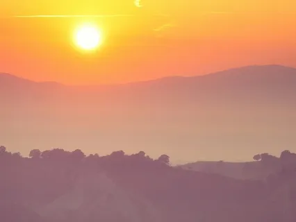 Ascend And Align: A Higher State Of Being