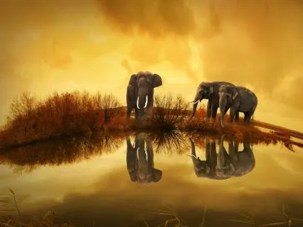 Ascend To Ultimate Divine Frequencies