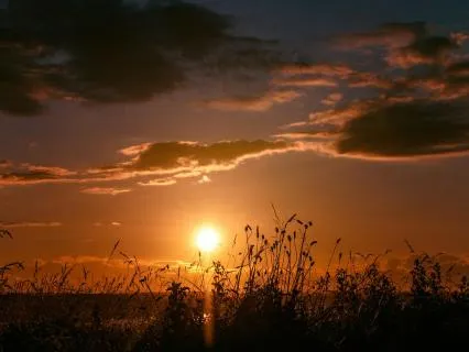Breathing for Anxiety Relief: Calming Ambient Flow