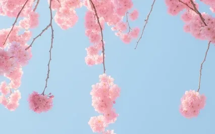 Ascending And Descending Breath