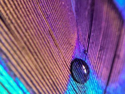 Ascending: Atmospheric Ambience