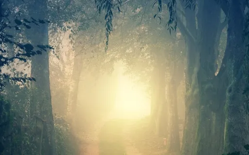 Ascension Sound Healing