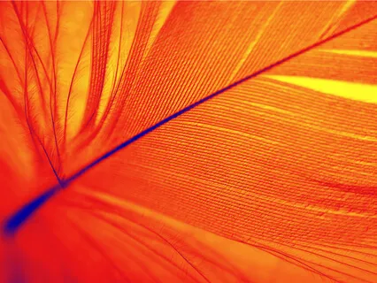 Ashes (Reflective Song) - Phoenix Series