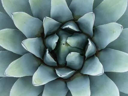 Ashtanga Power: 30-Minute Strength And Focus