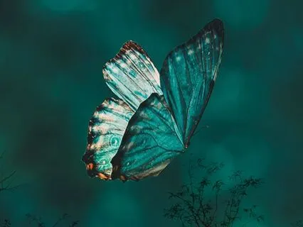 Ask And You Shall Receive.  A Sound Journey Of Intention