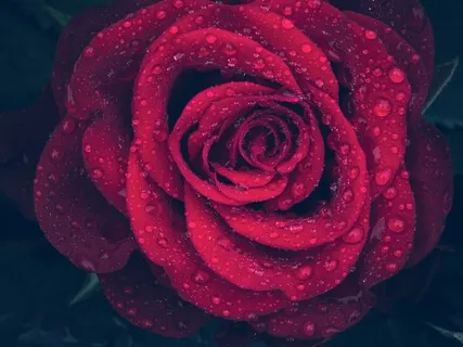 Ask The Universe | How To Use The Law Of Attraction For You