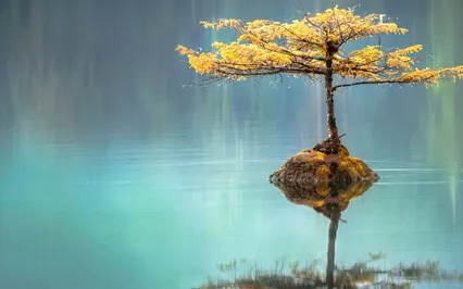 Ask The Universe: Surprise And Delight