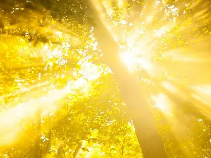 Ask And You Shall Receive - Blessed Prayer To Open New Doors