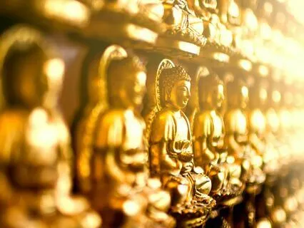 Ask Your Guides - Live - 10/6/24