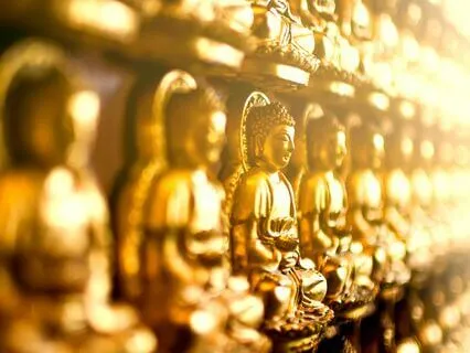 Ask Your Guides - Live - 11/30/24