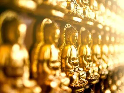 Ask Your Guides - Live - 12/28/24