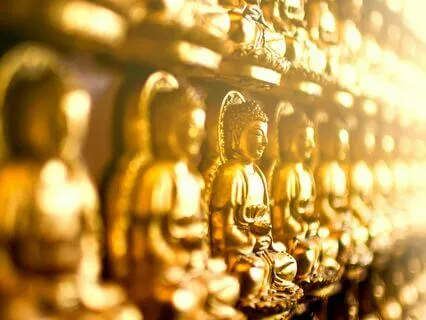 Ask Your Guides - Live - 7/13/24