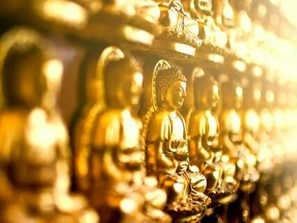 Ask Your Guides - Live - 8/1/24