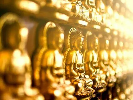 Ask Your Guides - Live - 8/17/24